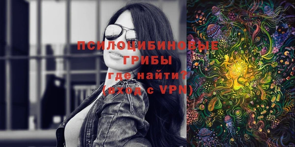 эйфоретик Богданович