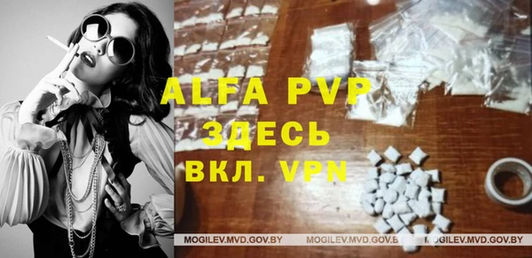 эйфоретик Богданович
