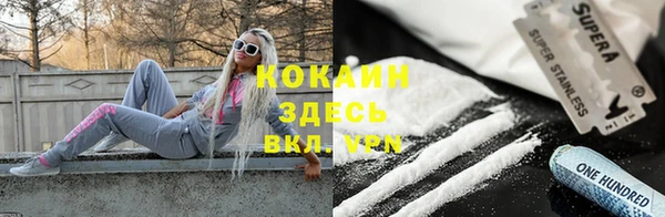 эйфоретик Богданович